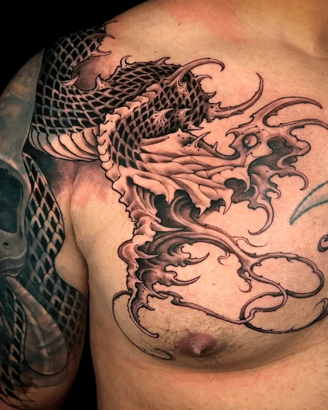 Dragon 01